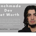 Punchmade Dev net worth