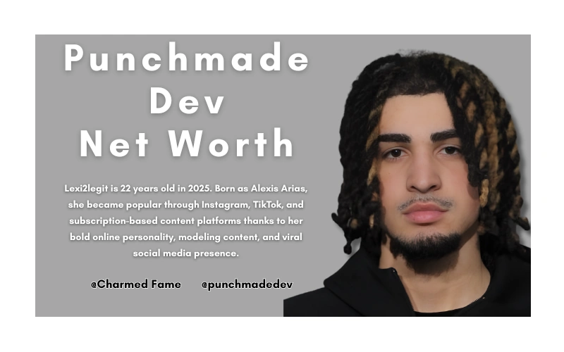 Punchmade Dev net worth